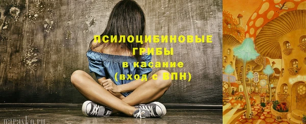 стаф Приозерск