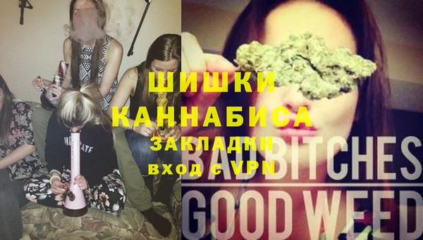 стаф Приозерск